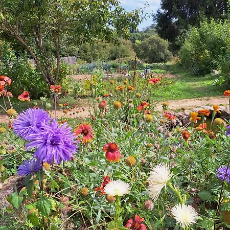 Des 2 Pat' * Pouzauges