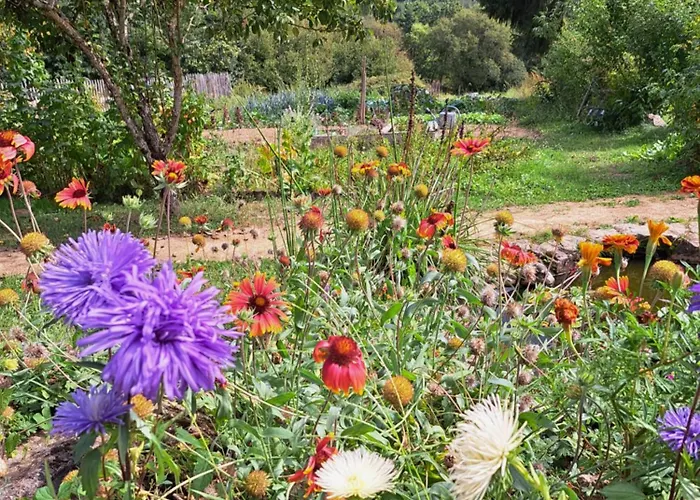 Des 2 Pat' * Pouzauges